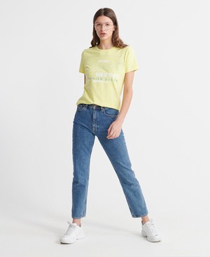 Superdry Organic Cotton Premium Goods Label Outline Női Pólók Zöld | PLGMH9146